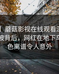 【爆料】蘑菇影视在线观看深度揭秘：丑闻风波背后，网红在地下车库的角色离谱令人意外