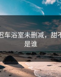 甜不止迟车浴室未删减，甜不止迟攻是谁