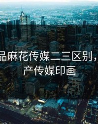 国产精品麻花传媒二三区别，麻豆国产传媒印画