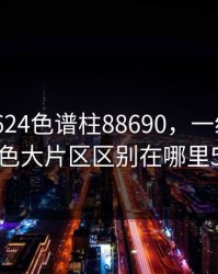 国产DB624色谱柱88690，一级二级调色大片区区别在哪里5