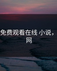 md传媒免费观看在线 小说，md传媒网