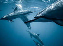 别再被带节奏了，我以为是我要求高，后来才懂91网的选题角度逻辑（看完你就懂）