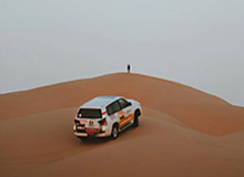 这条蘑菇频道让我起疑：告白失败为什么突然变味？（真相曝光）｜我真的服了