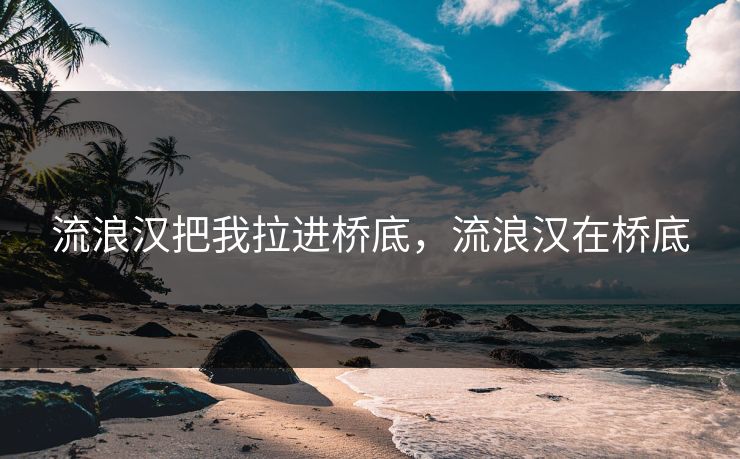 流浪汉把我拉进桥底，流浪汉在桥底