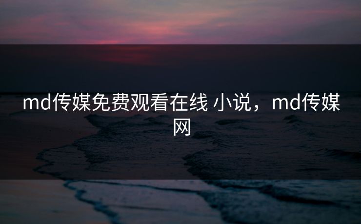 md传媒免费观看在线 小说，md传媒网