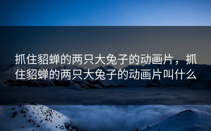 抓住貂蝉的两只大兔子的动画片，抓住貂蝉的两只大兔子的动画片叫什么