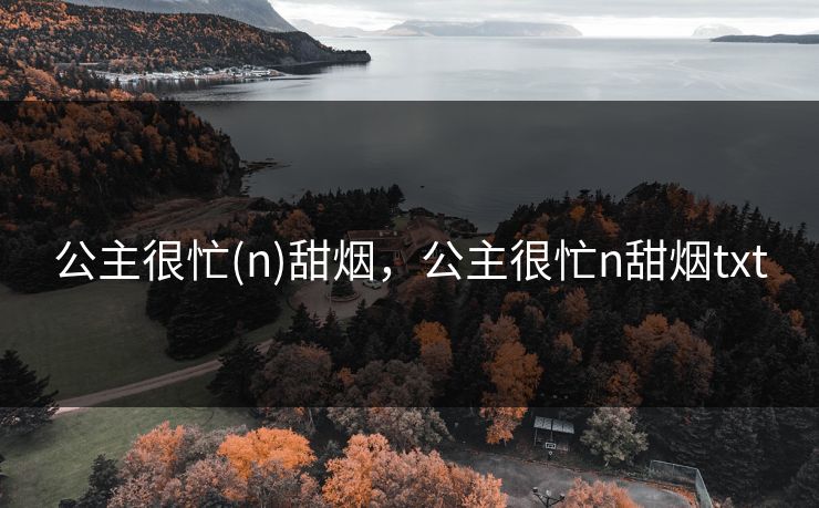 公主很忙(n)甜烟，公主很忙n甜烟txt
