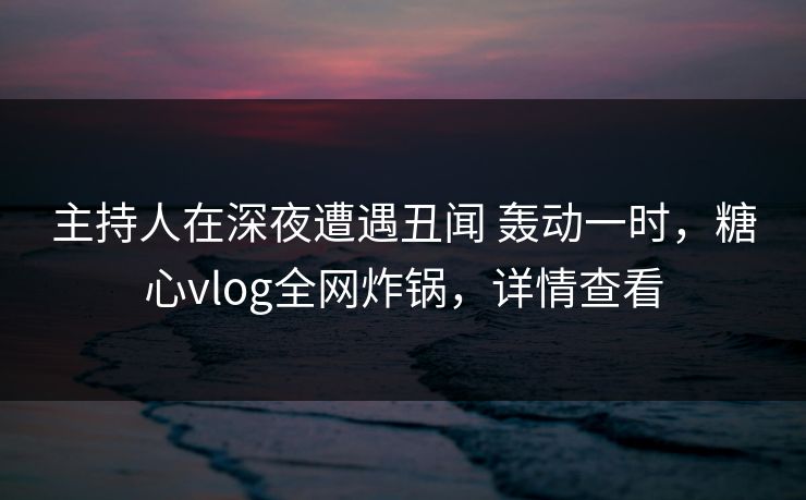 主持人在深夜遭遇丑闻 轰动一时，糖心vlog全网炸锅，详情查看