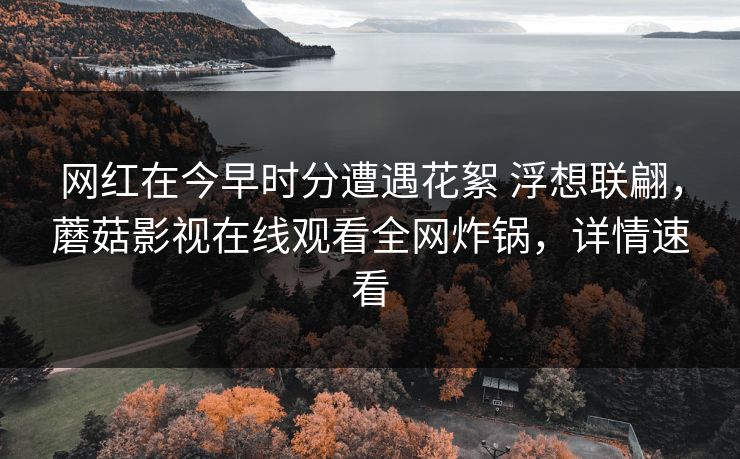 网红在今早时分遭遇花絮 浮想联翩，蘑菇影视在线观看全网炸锅，详情速看