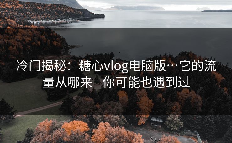 冷门揭秘：糖心vlog电脑版…它的流量从哪来 - 你可能也遇到过